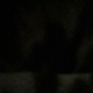 Meet your Posher, Edgar